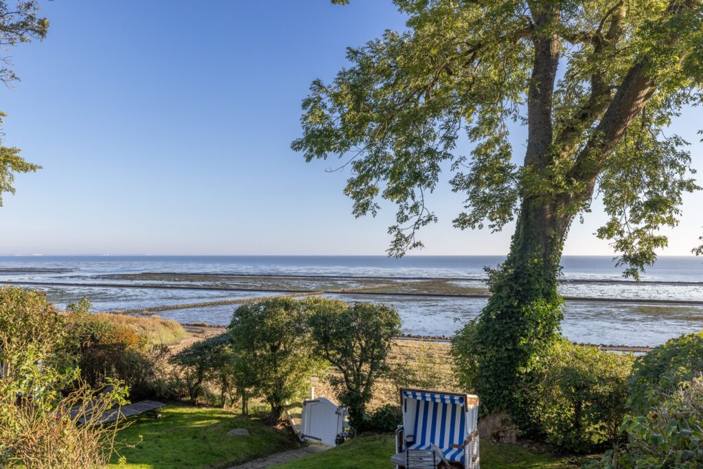 Garten mit Strandkorb auf Sylt