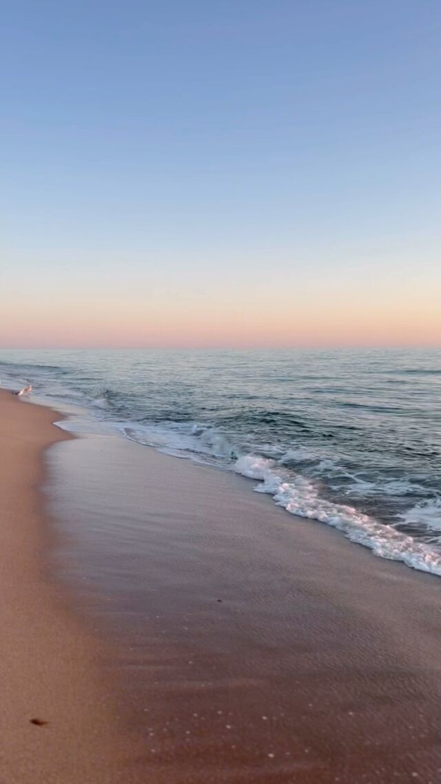 Kein Sylter Sommer ist wie der andere, aber eins haben sie alle gemeinsam: sie sind jedes Jahr atemberaubend ❤️🌾

#urlaub #ferien #ferienaufsylt #meerweh #sealover #küstenkind #ferienwohnung #strandnah #urlaubsdomizil #sylt #syltliebe #urlaubaufsylt #nordseeurlaub #nordsee #nordfriesland #urlaubinnordfriesland #urlaubzuzweit #winterurlaub #sommerurlaub #inselurlaub #inselliebe #nordseeinsel
#familienurlaub