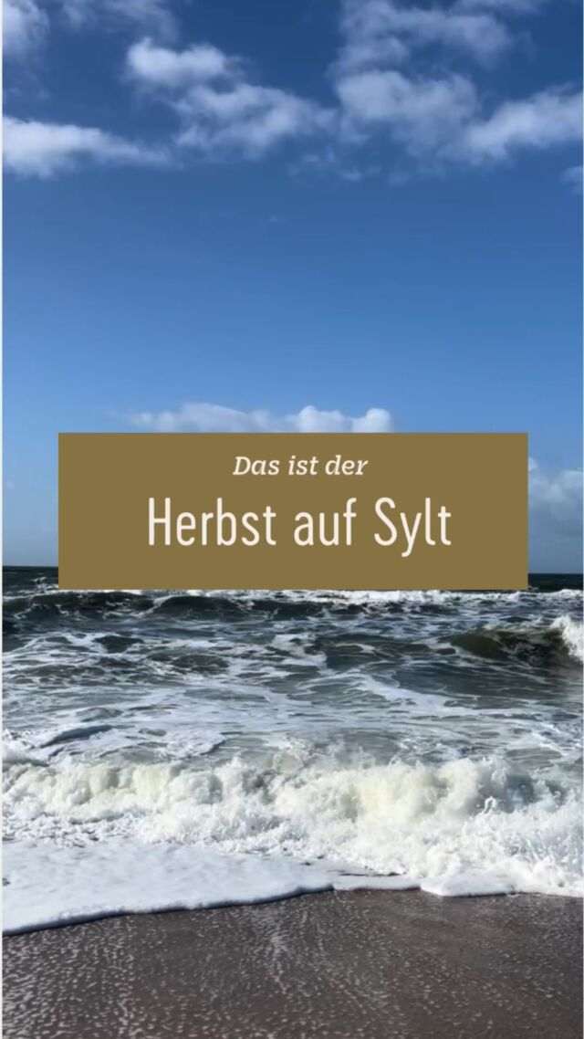 Die Insel spricht für sich… atemberaubende Moment am Meer 🌊❤️

#syltliebe #sylt #inselliebe #nordseeurlaub #nordfriesland #inselurlaub #meer #nordsee